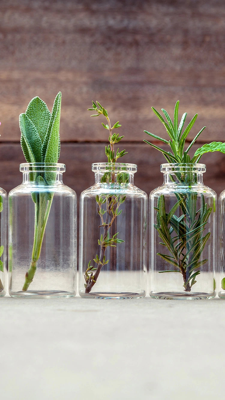 Your Source of Herbal/Ayurvedic
Products Online